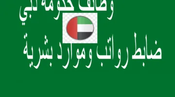 وظائف حكومة دبي ضابط رواتب وموارد بشرية