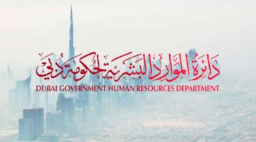 وظائف دائرة الموارد البشرية دبي حكومة دبي
